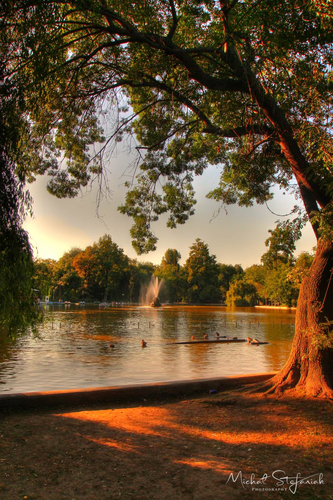 IMG 0640 1 2Enhancer