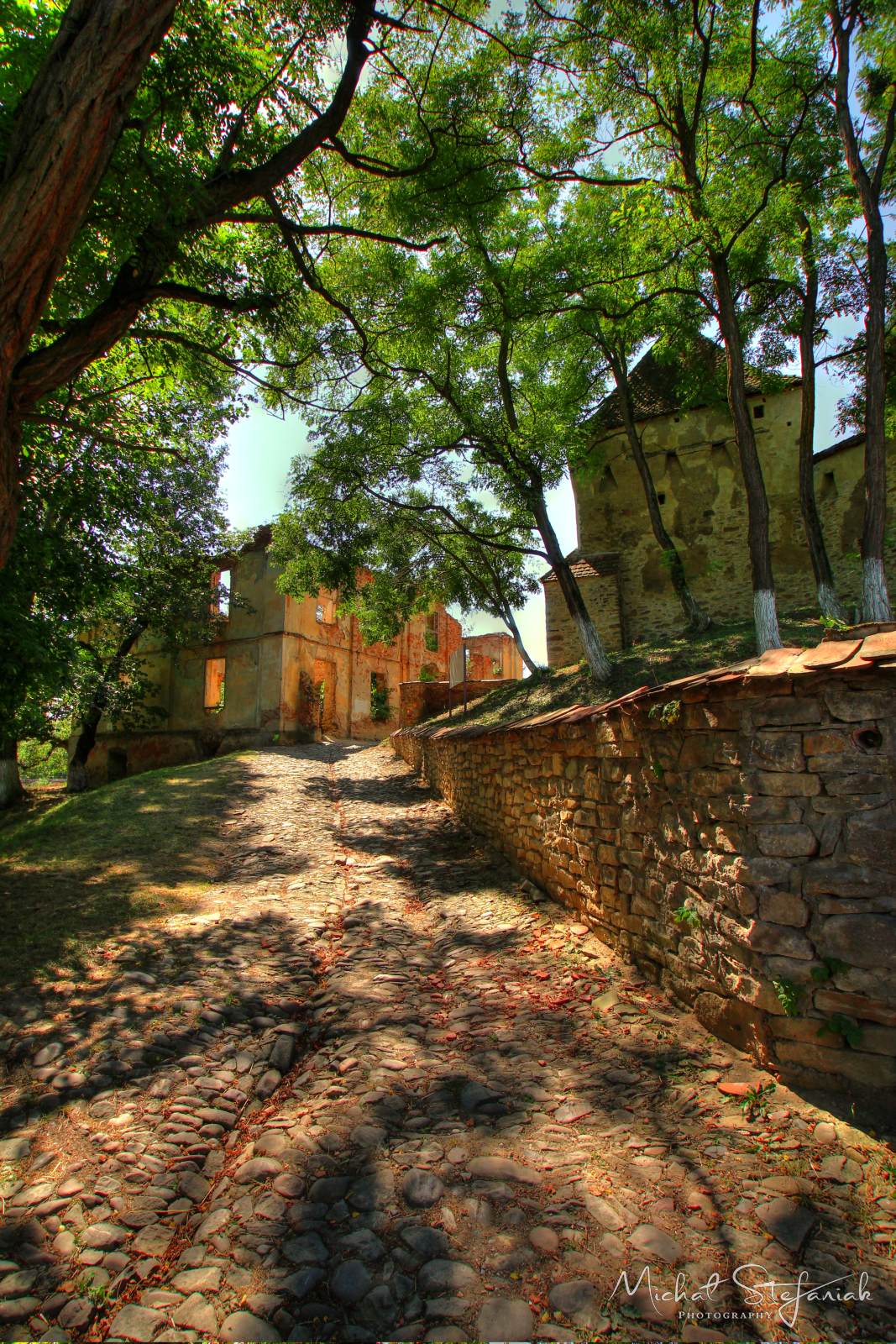 IMG 1061 2 3Enhancer