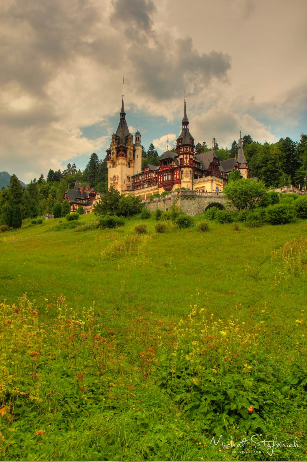 IMG 1476 7 8Enhancer