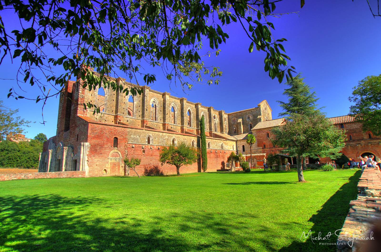 IMG 5116 7 8Enhancer