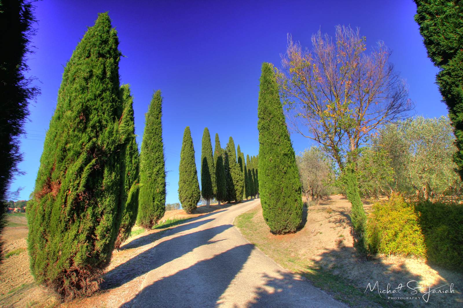 IMG 4085 6 7Enhancer