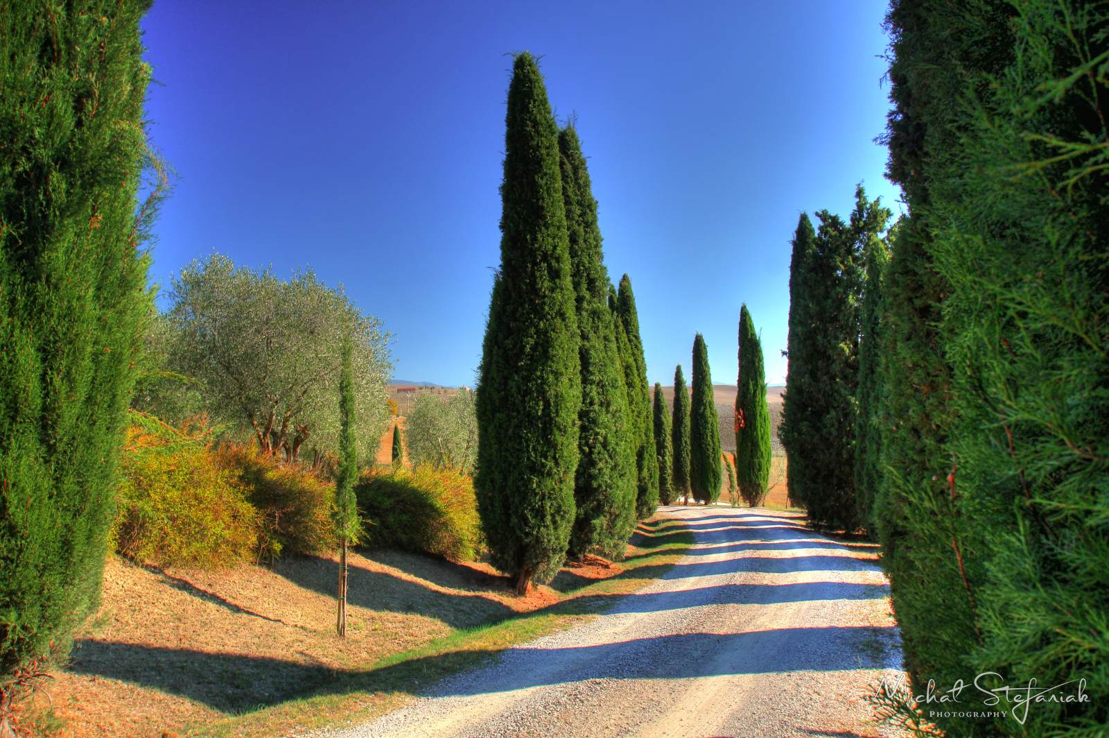 IMG 4103 4 5Enhancer