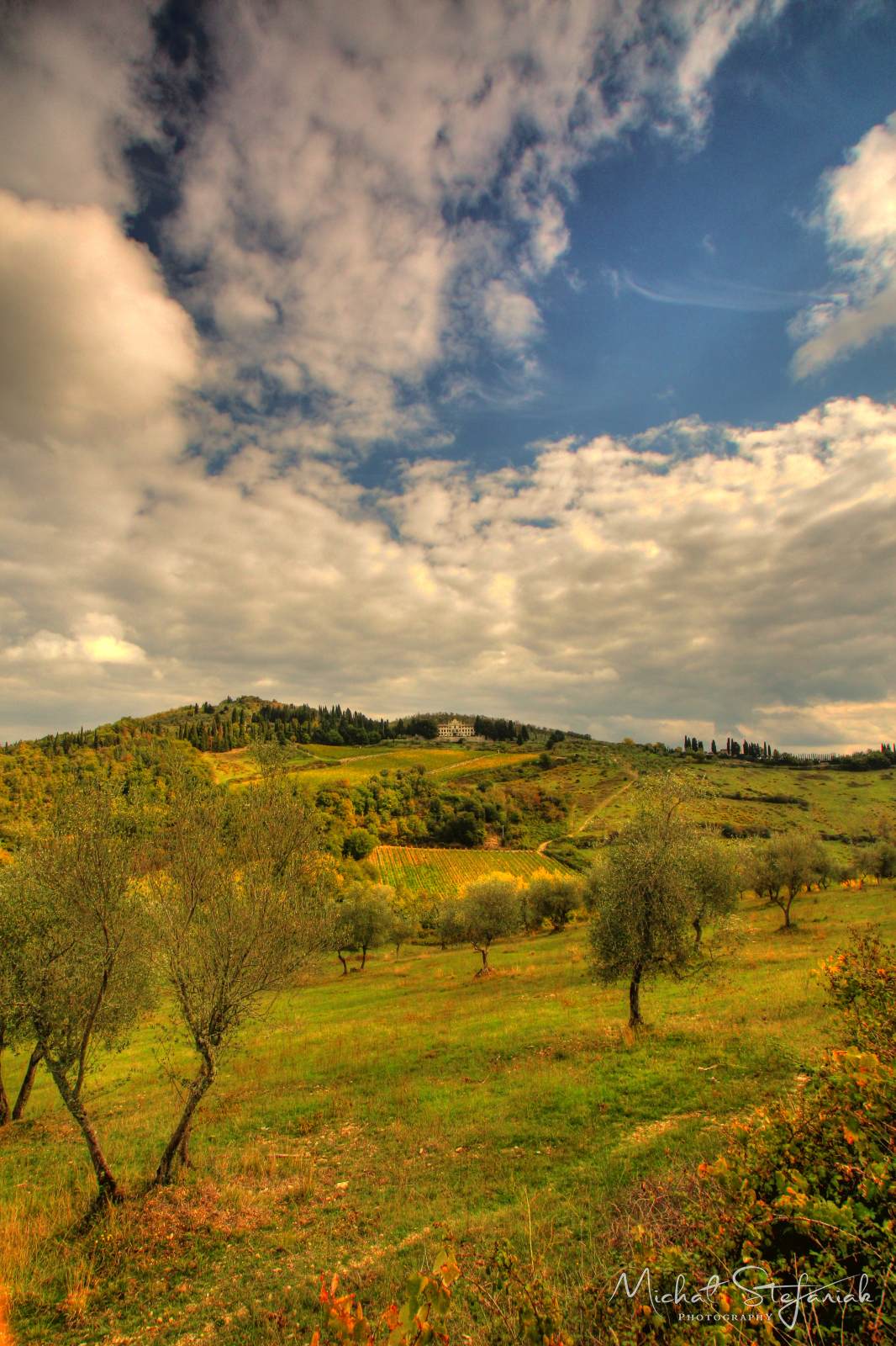 IMG 3729 30 31Enhancer