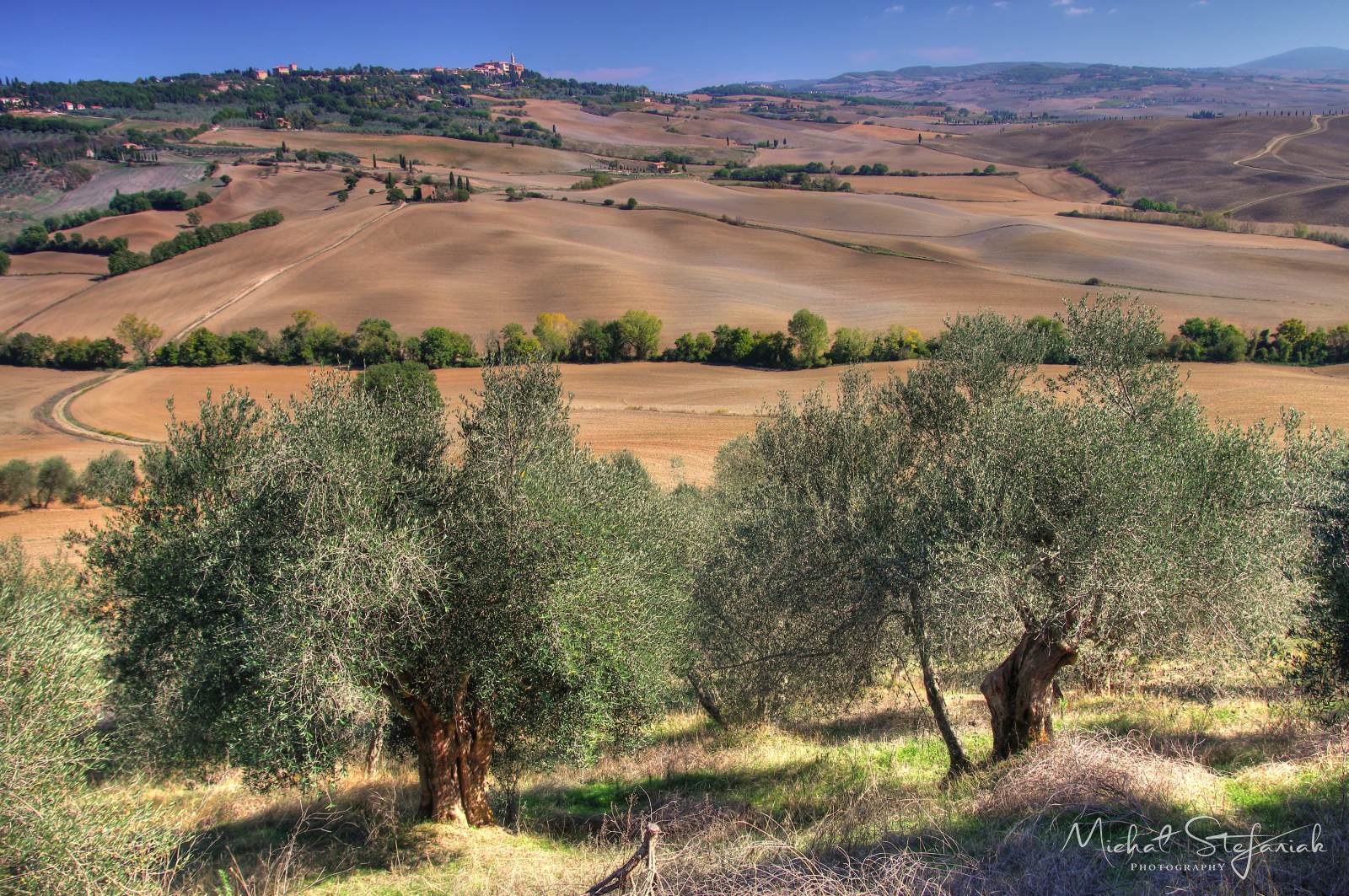 IMG 3973 4 5Enhancer