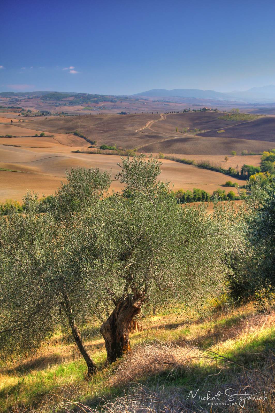 IMG 3979 80 81Enhancer