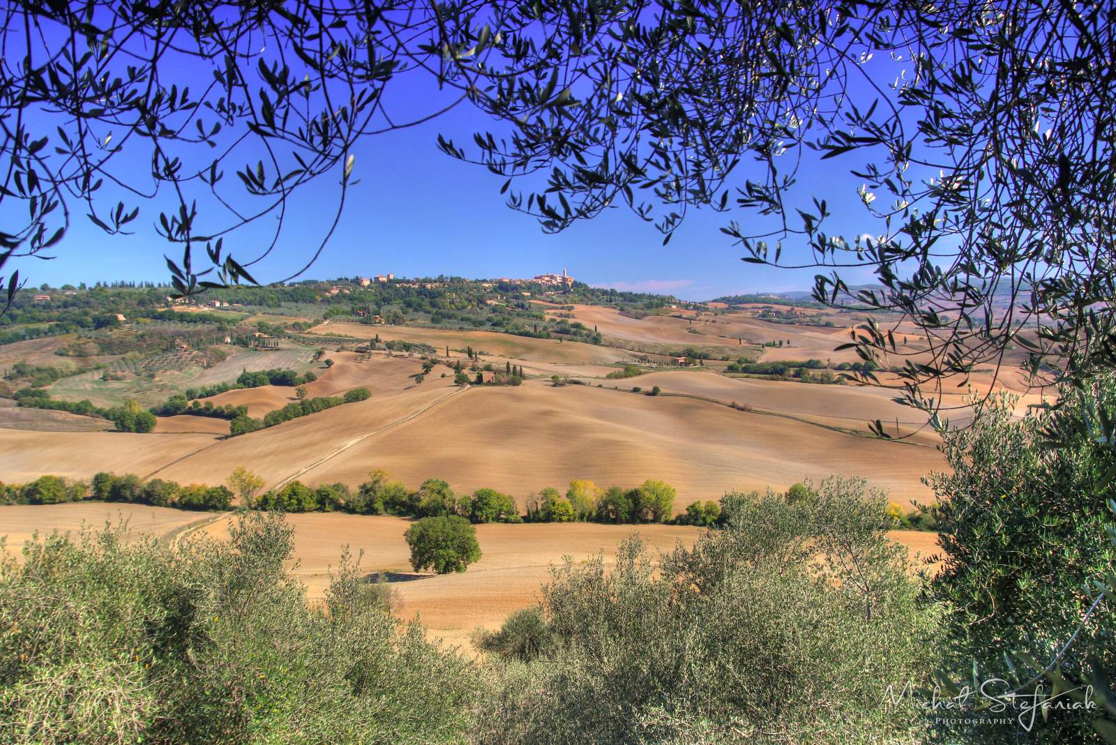 IMG 3988 89 90Enhancer