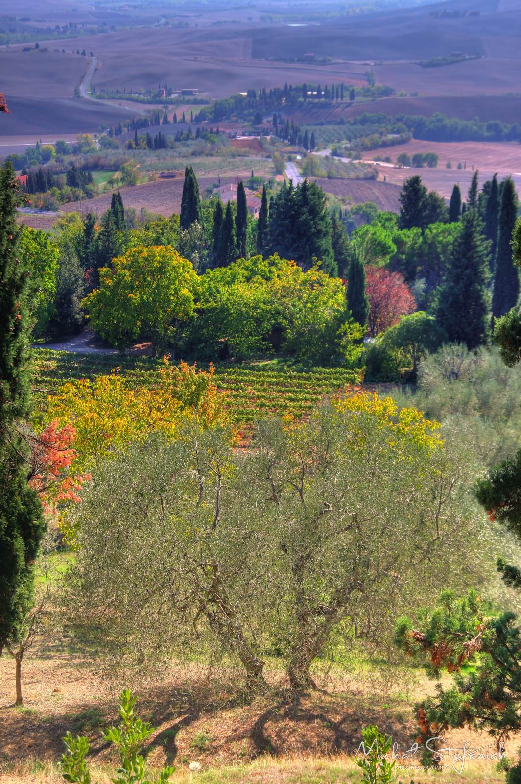 IMG 4029 30 31Enhancer