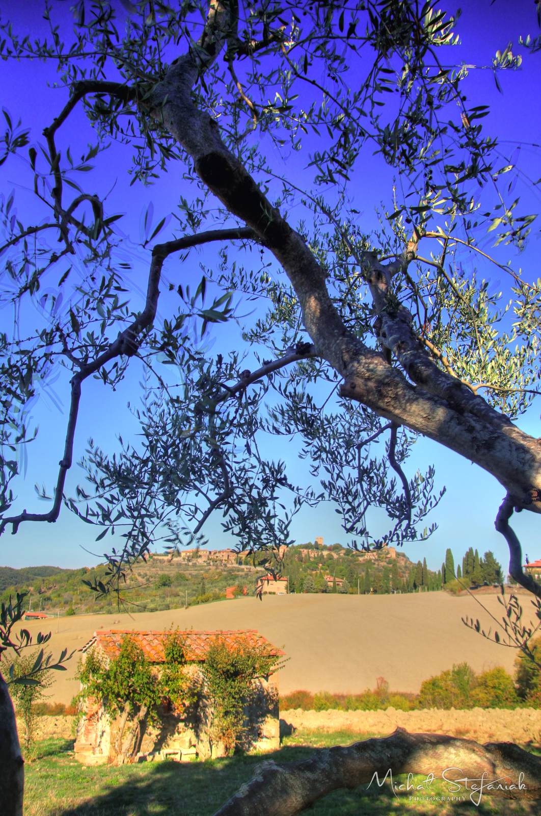 IMG 4138 39 40Enhancer