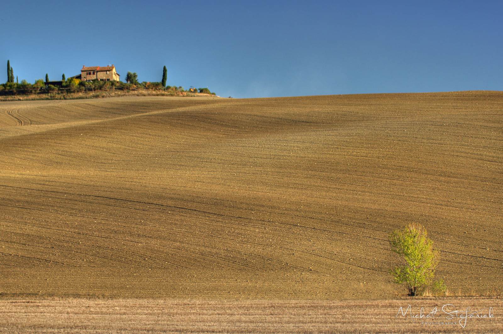 IMG 4246 7 8Enhancer