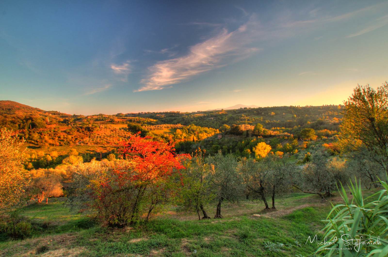 IMG 4671 2 3Enhancer