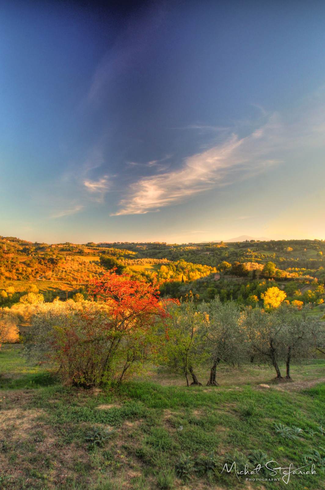 IMG 4680 1 2Enhancer