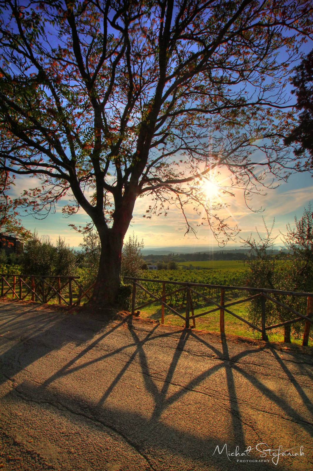 IMG 3894 5 6Enhancer