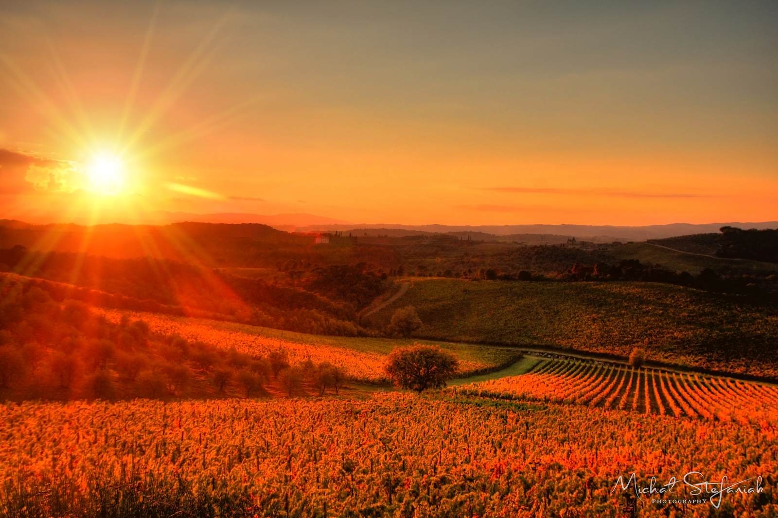 IMG 3950 1 2Enhancer