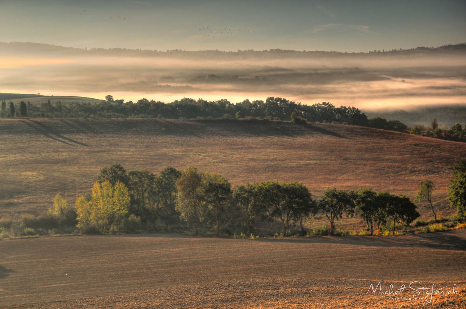 IMG 4982 3 4Enhancer