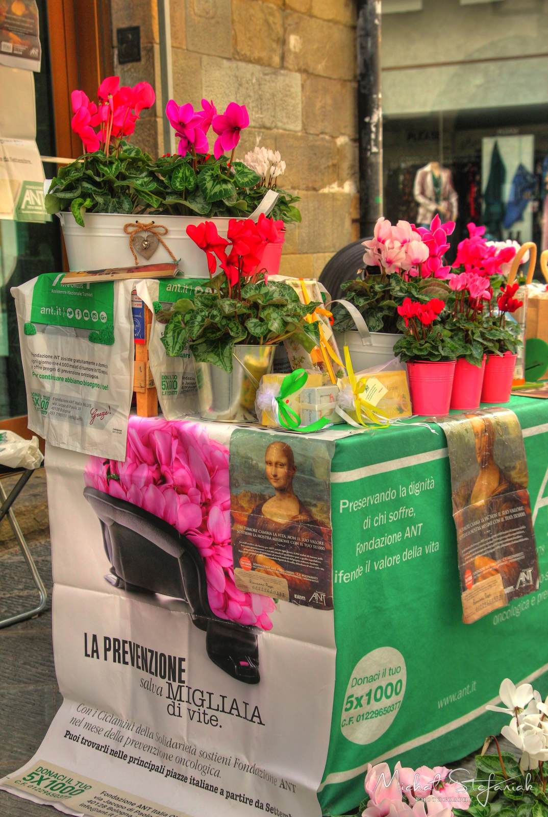 IMG 2679 80 81Enhancer