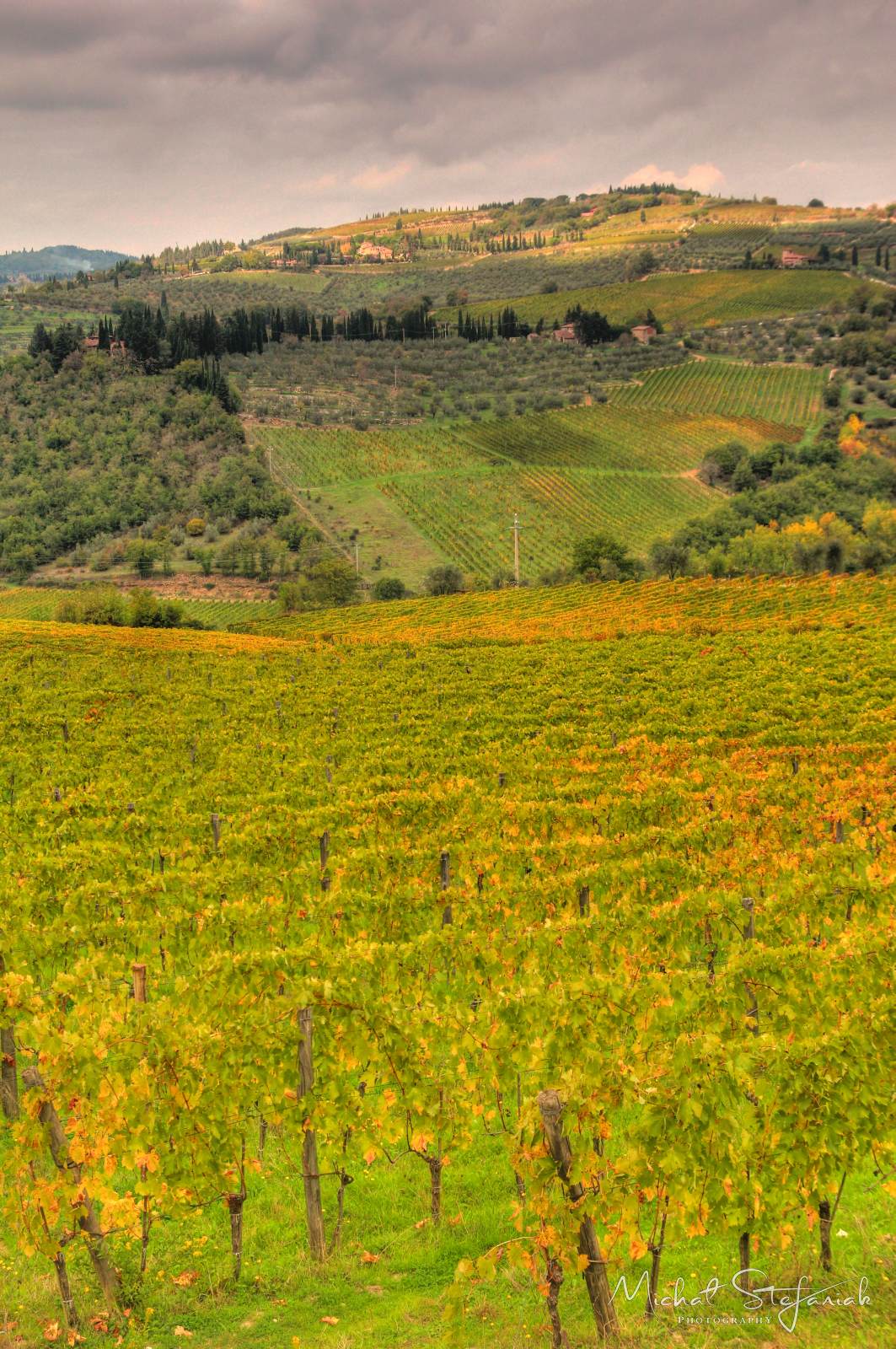 IMG 3664 5 6Enhancer