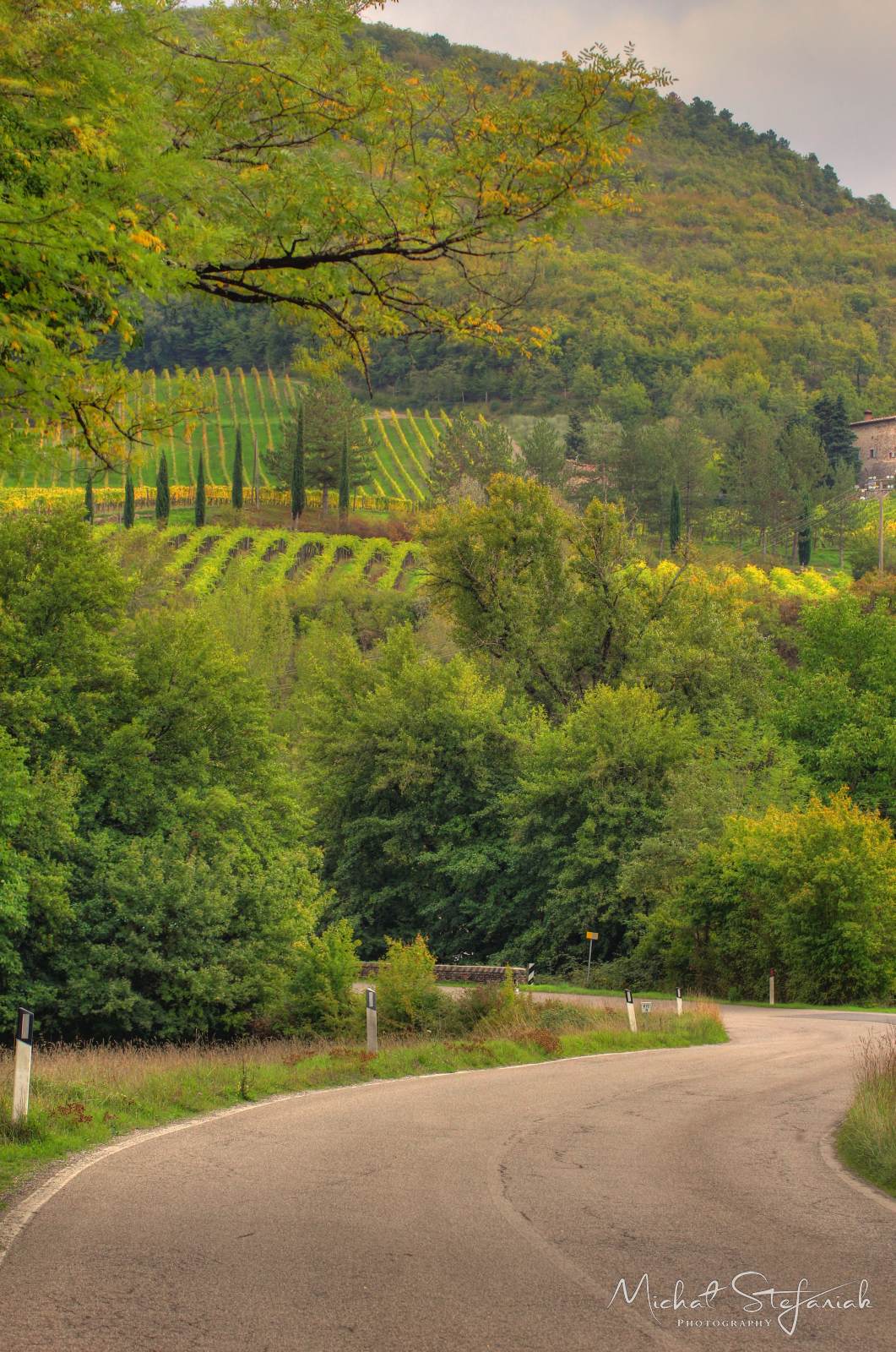 IMG 3691 2 3Enhancer