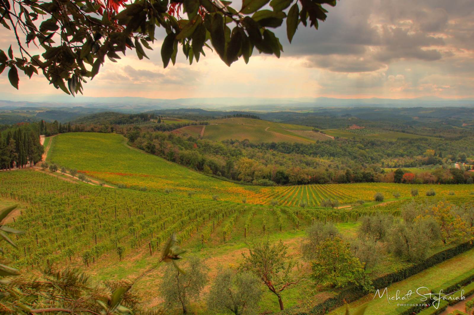 IMG 3770 1 2Enhancer