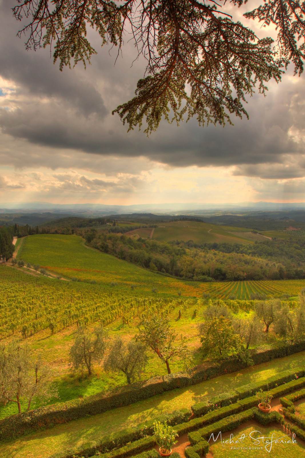 IMG 3776 7 8Enhancer