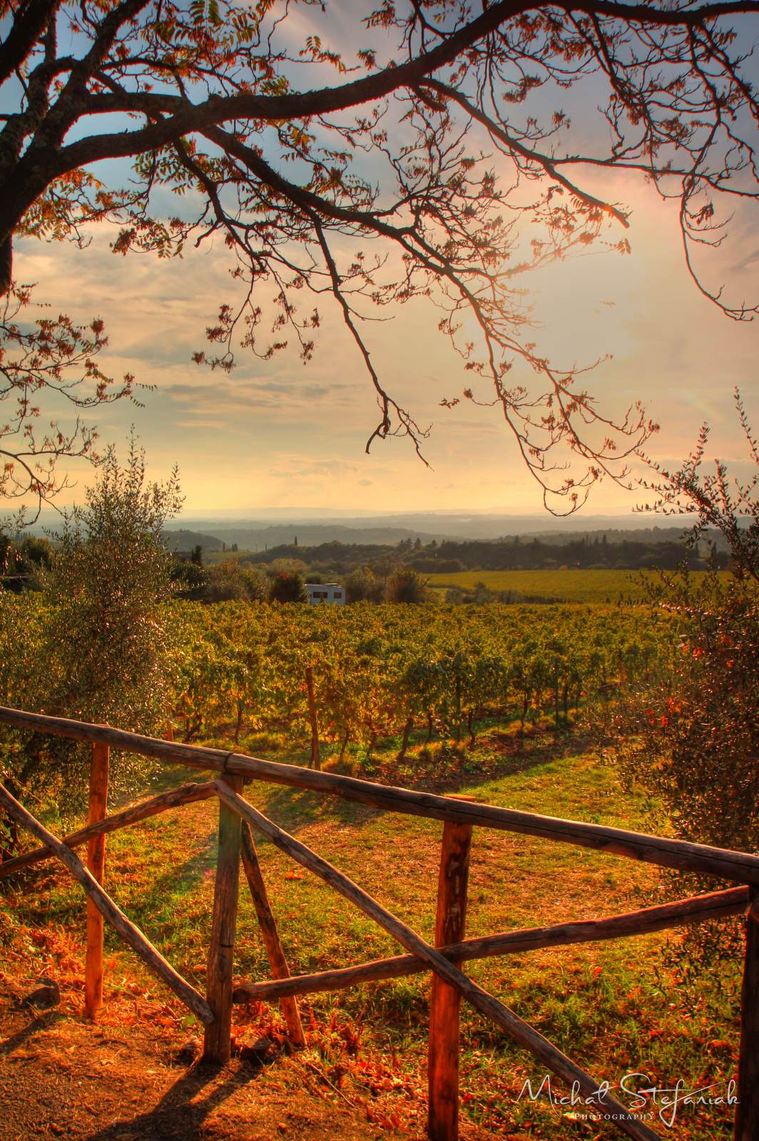 IMG 3888 89 90Enhancer