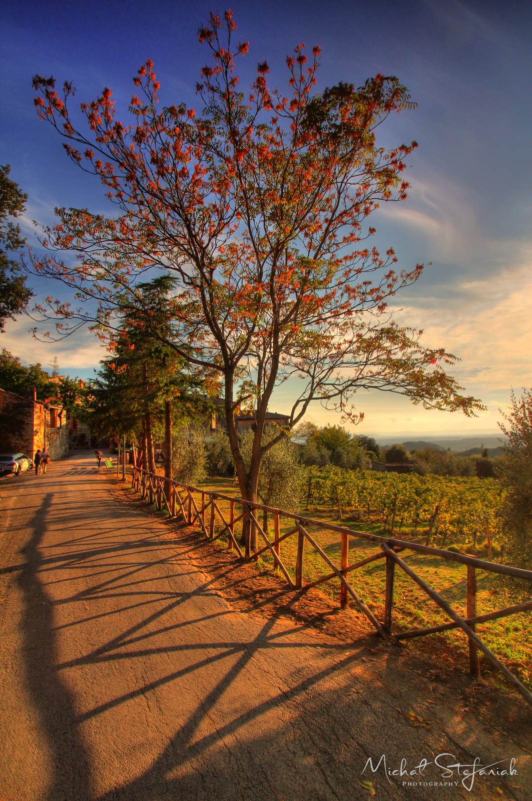 IMG 3897 8 9Enhancer