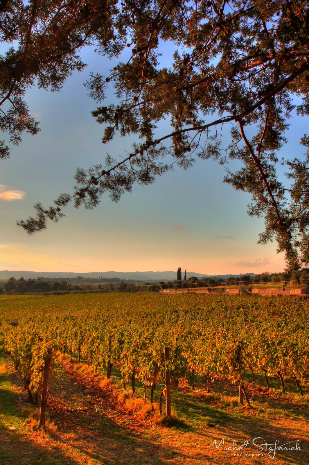 IMG 3903 4 5Enhancer