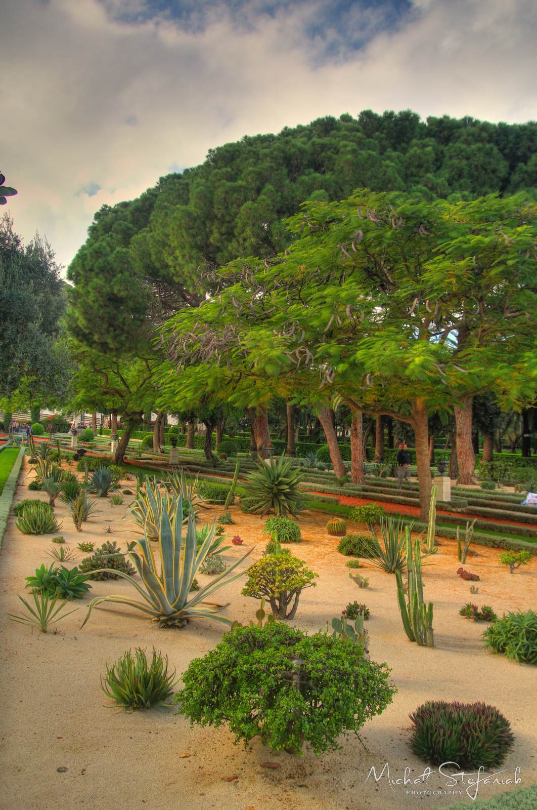 IMG 6285 6 7Enhancer