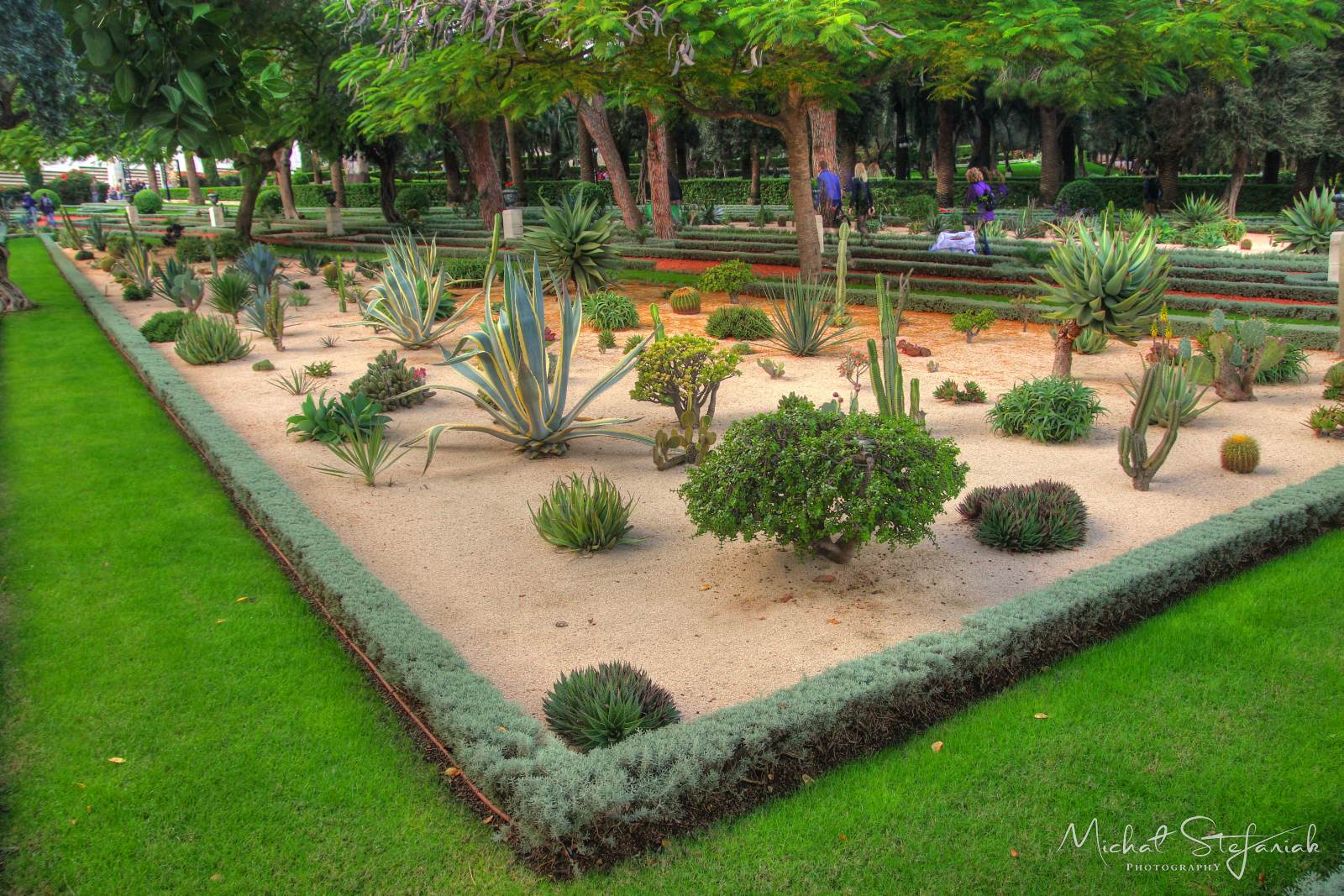 IMG 6288 89 90Enhancer