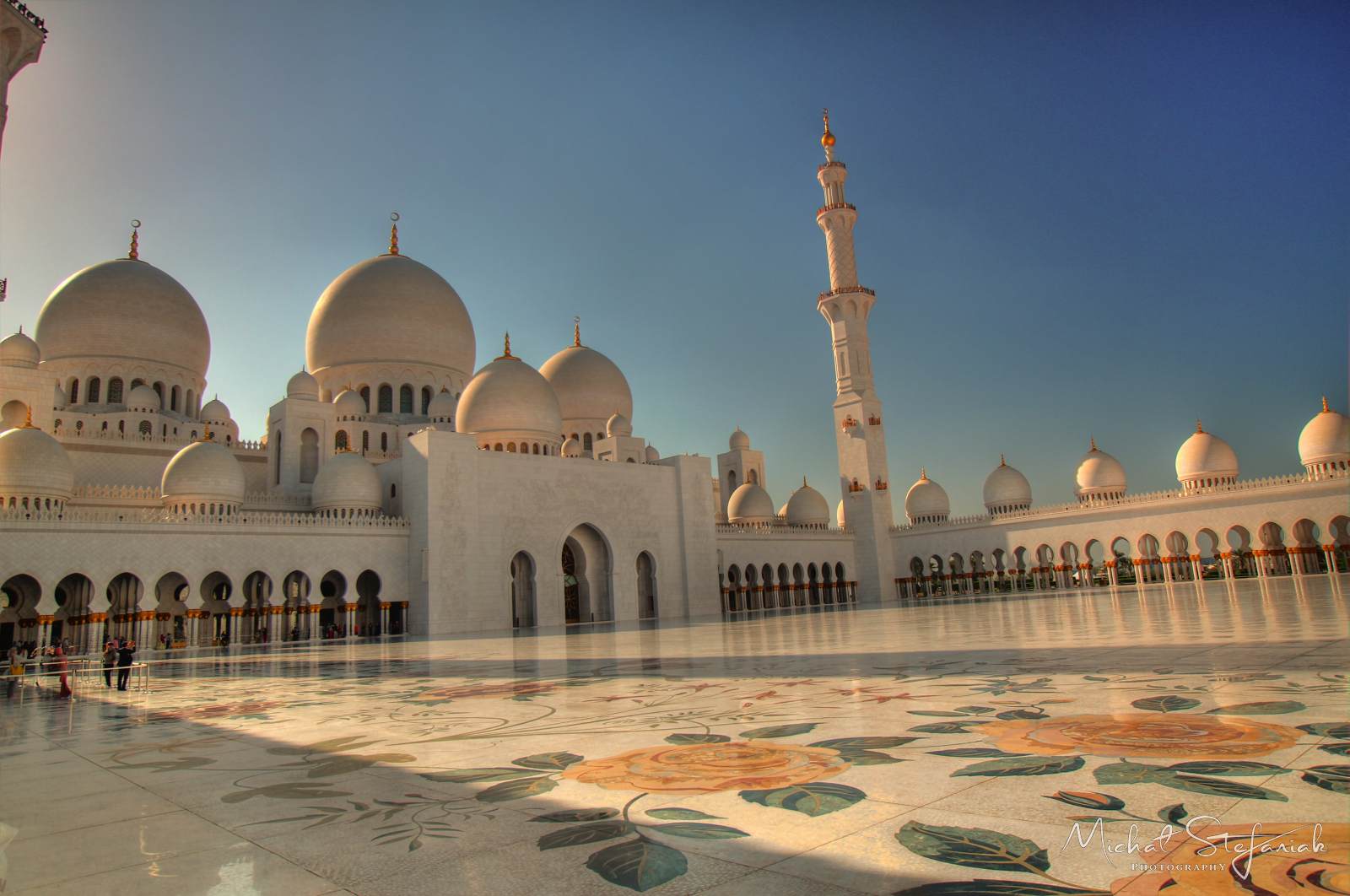 IMG 9076 7 8Enhancer