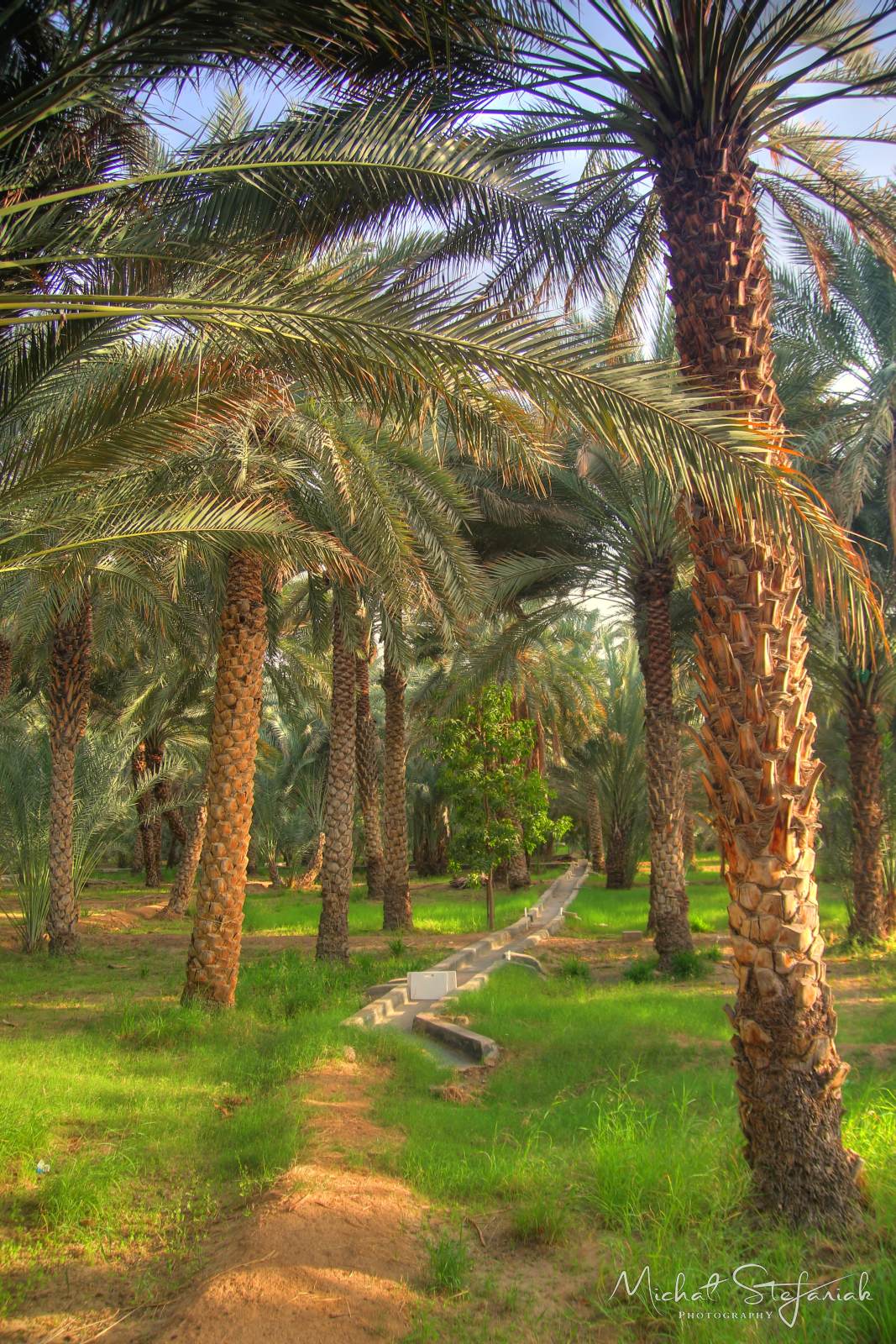 IMG 7494 5 6Enhancer