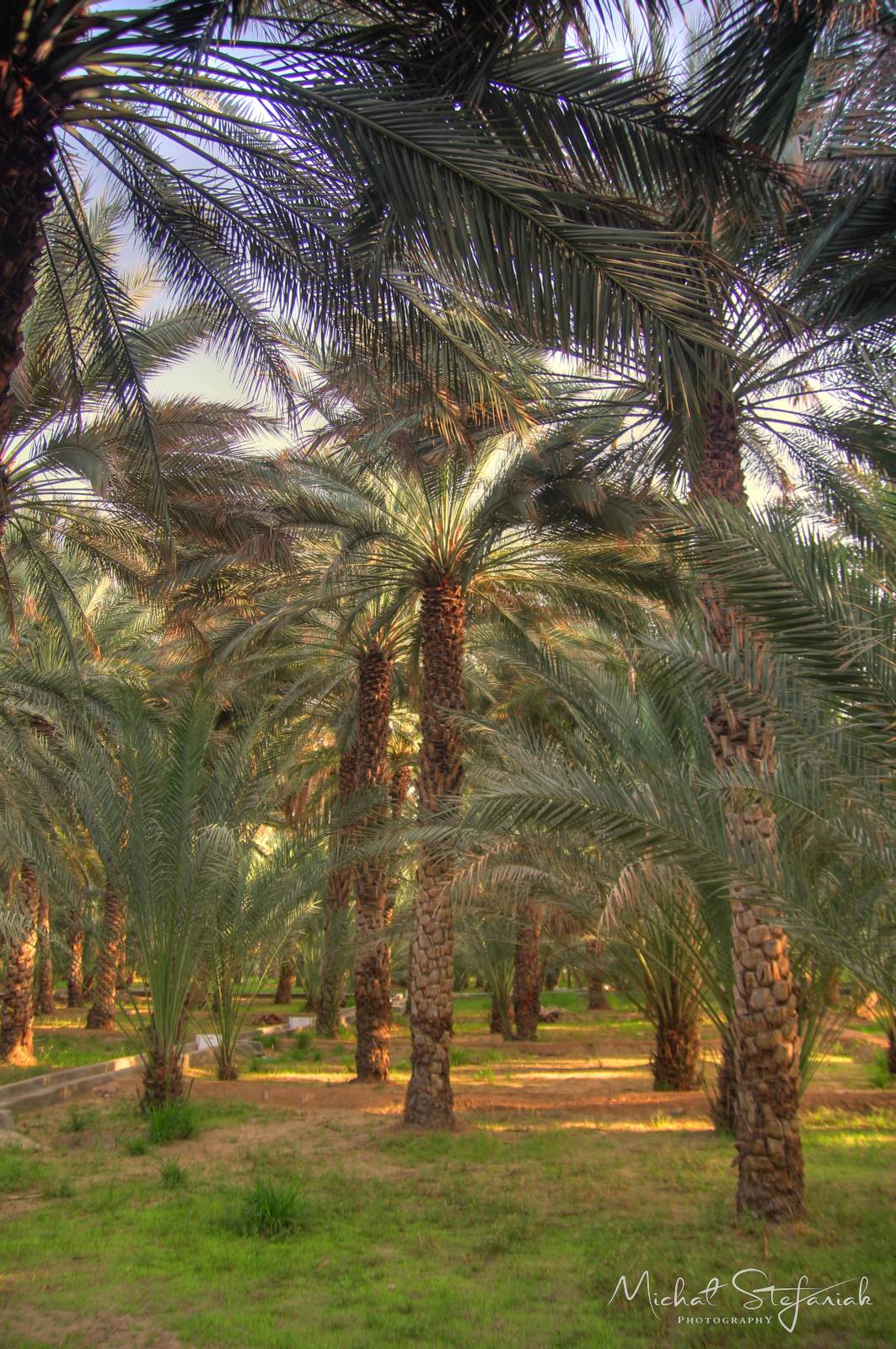 IMG 7497 8 9Enhancer