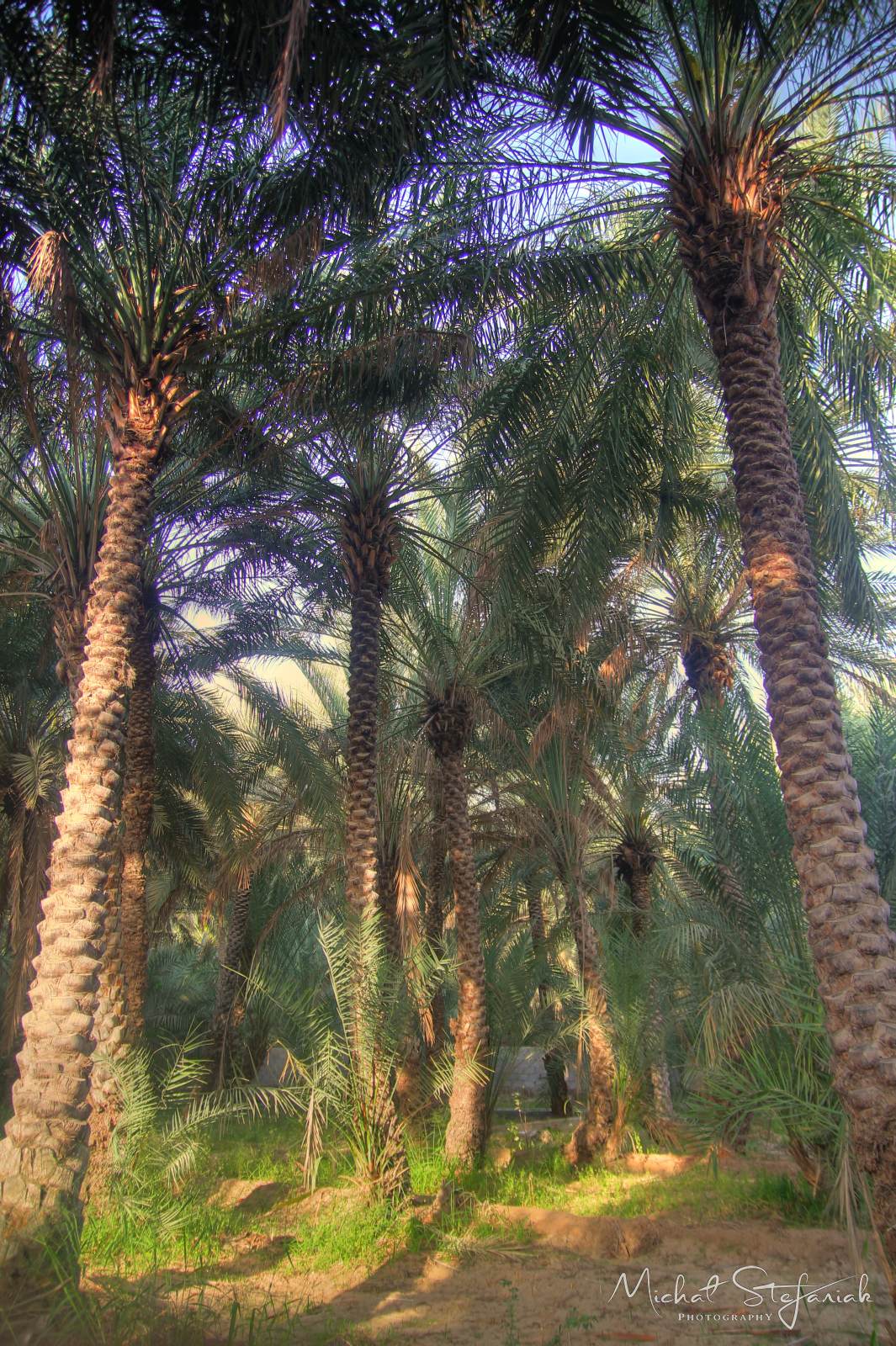 IMG 7508 09 10Enhancer