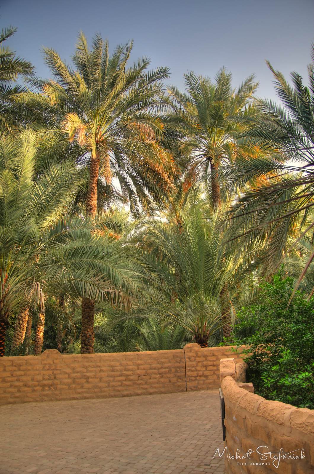 IMG 7529 30 31Enhancer