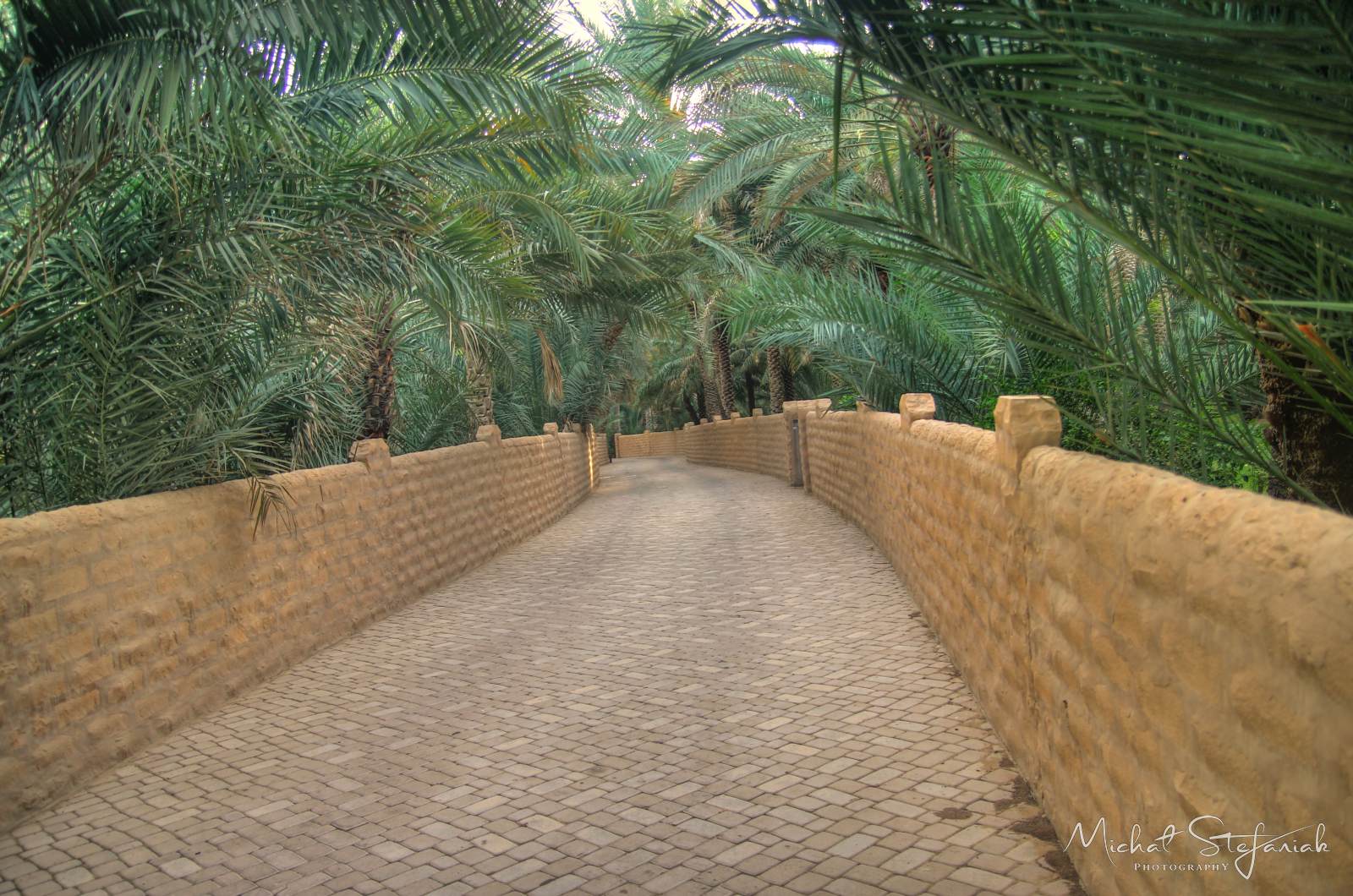 IMG 7532 3 4Enhancer