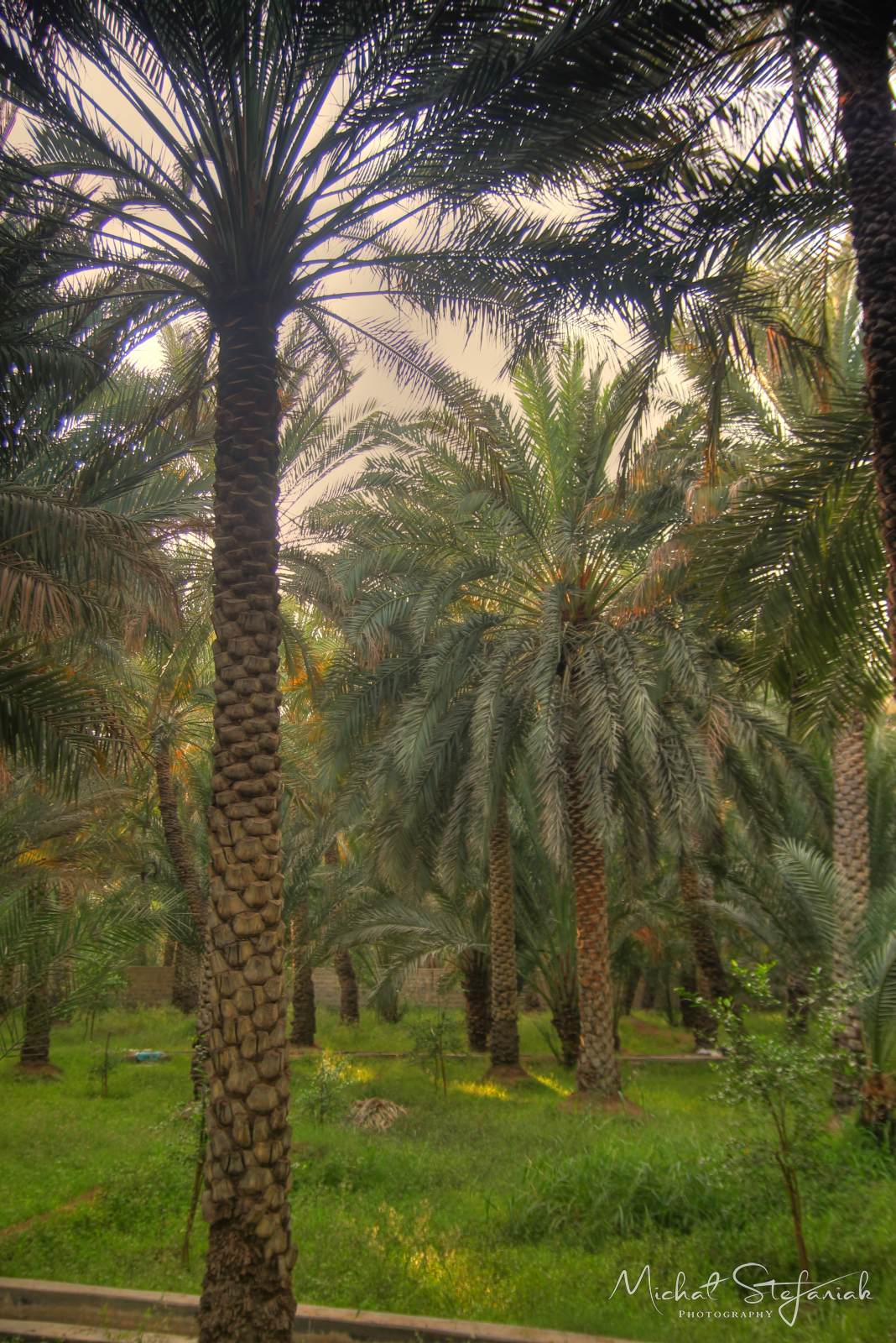 IMG 7535 6 7Enhancer