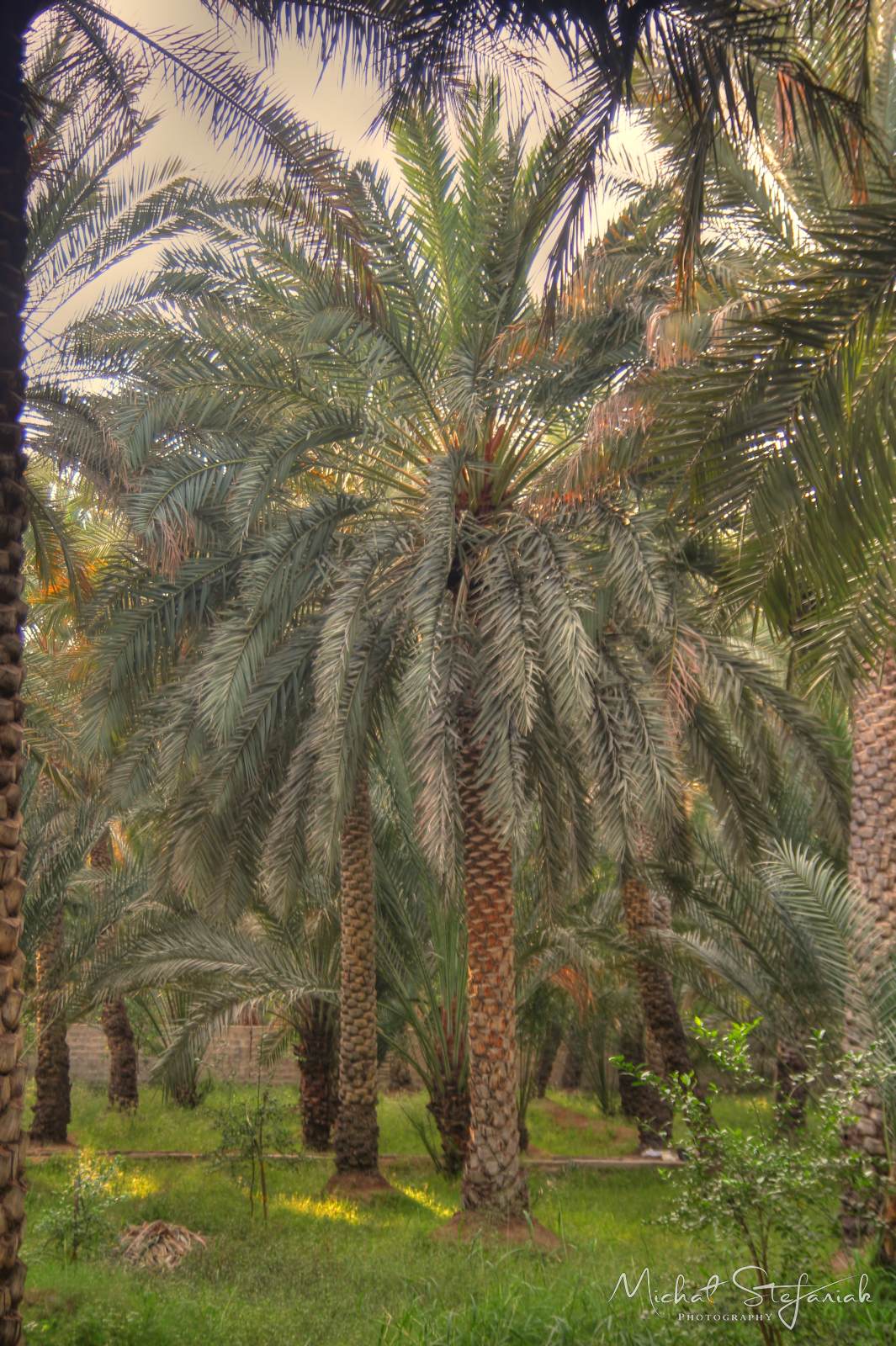 IMG 7538 39 40Enhancer