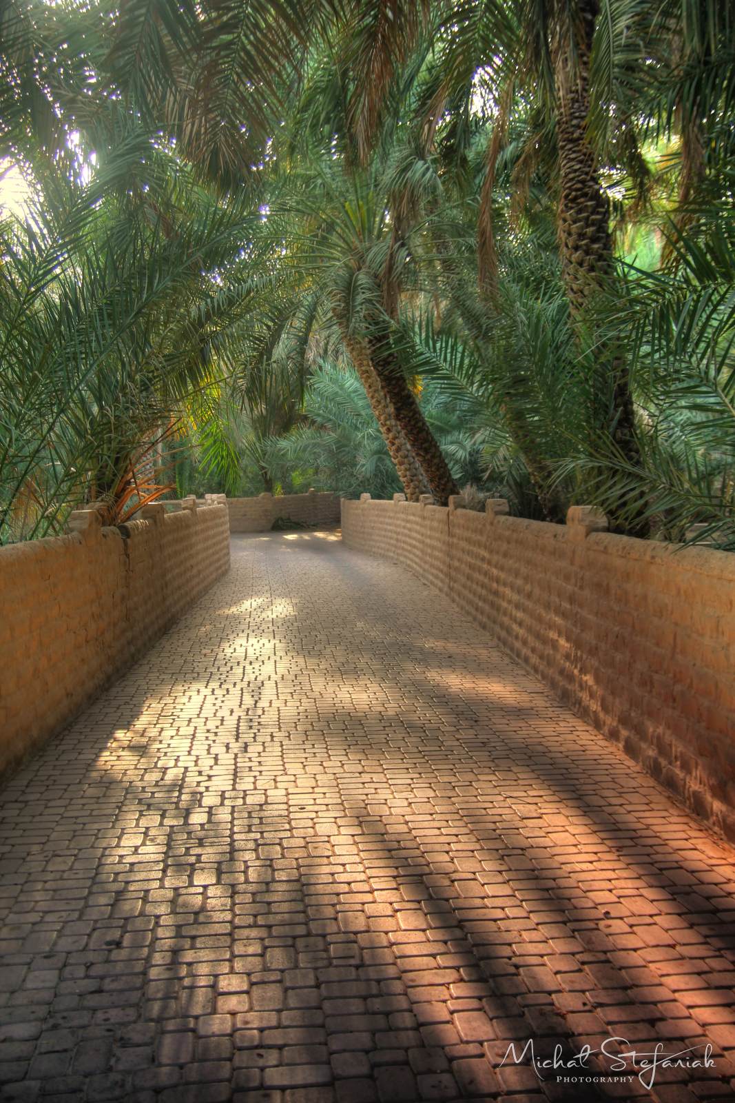 IMG 7541 2 3Enhancer