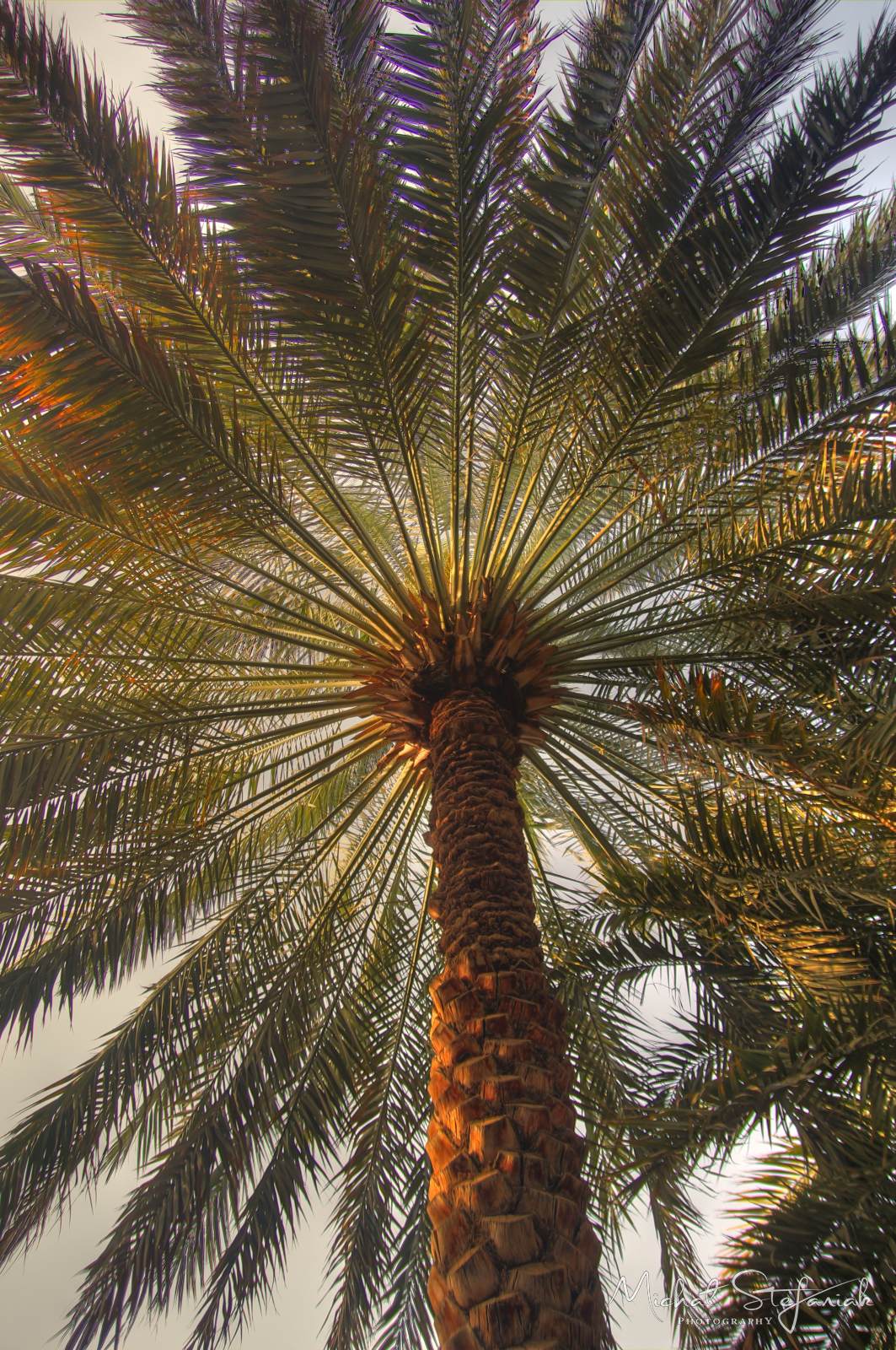 IMG 7544 5 6Enhancer