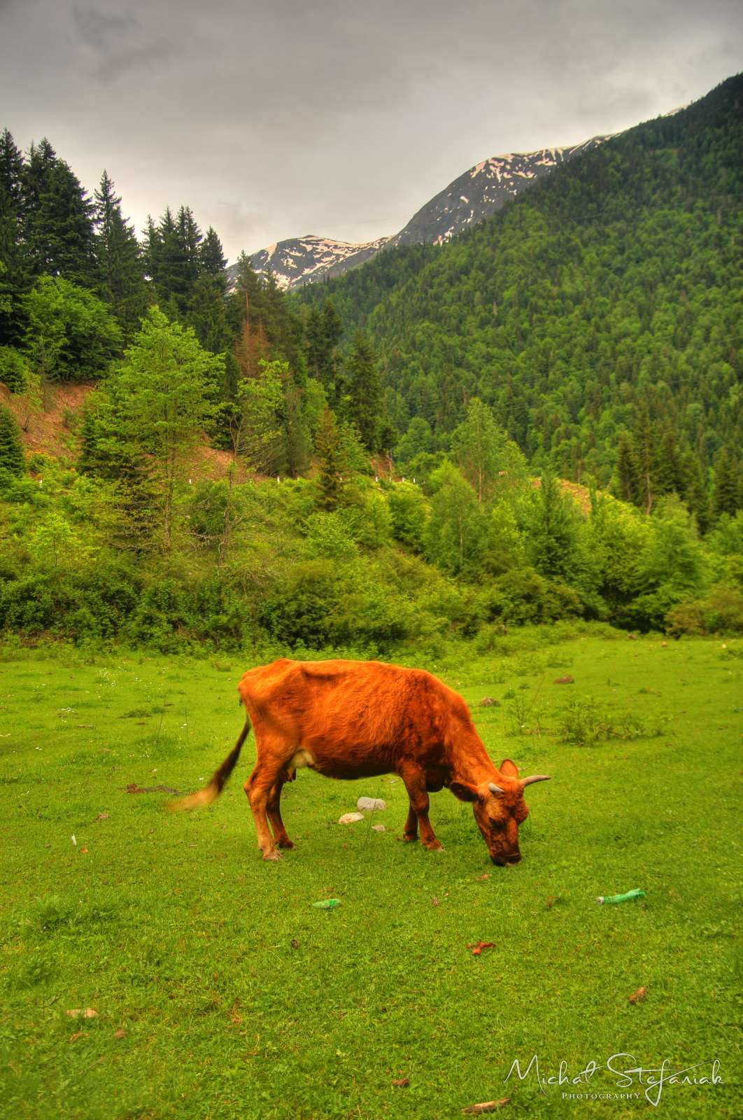 JMG 0027 8 9 tonemapped