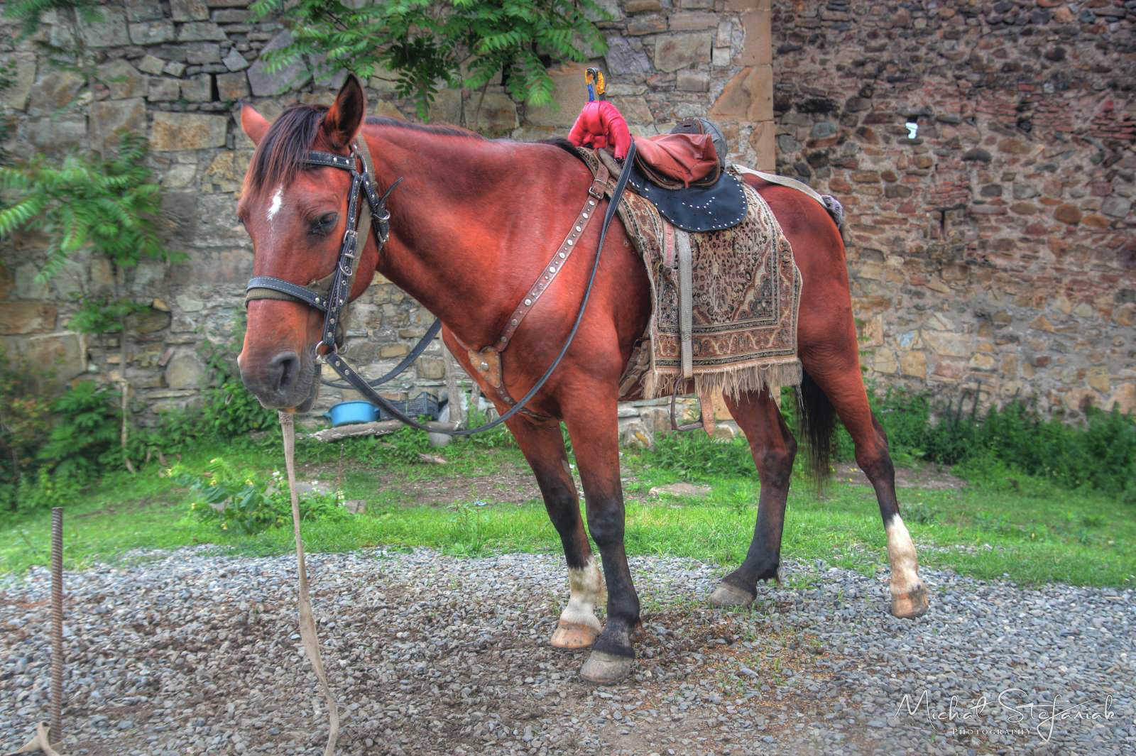 JMG 1659 60 61Enhancer