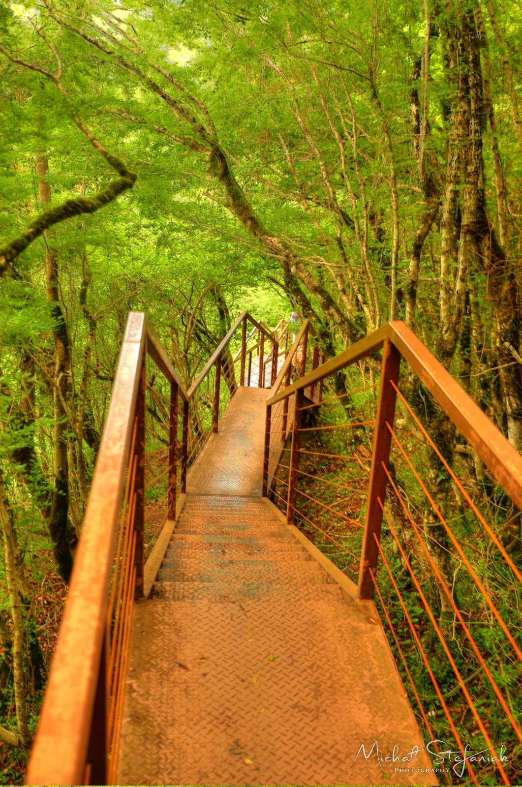 IMG 9820 1 2Enhancer