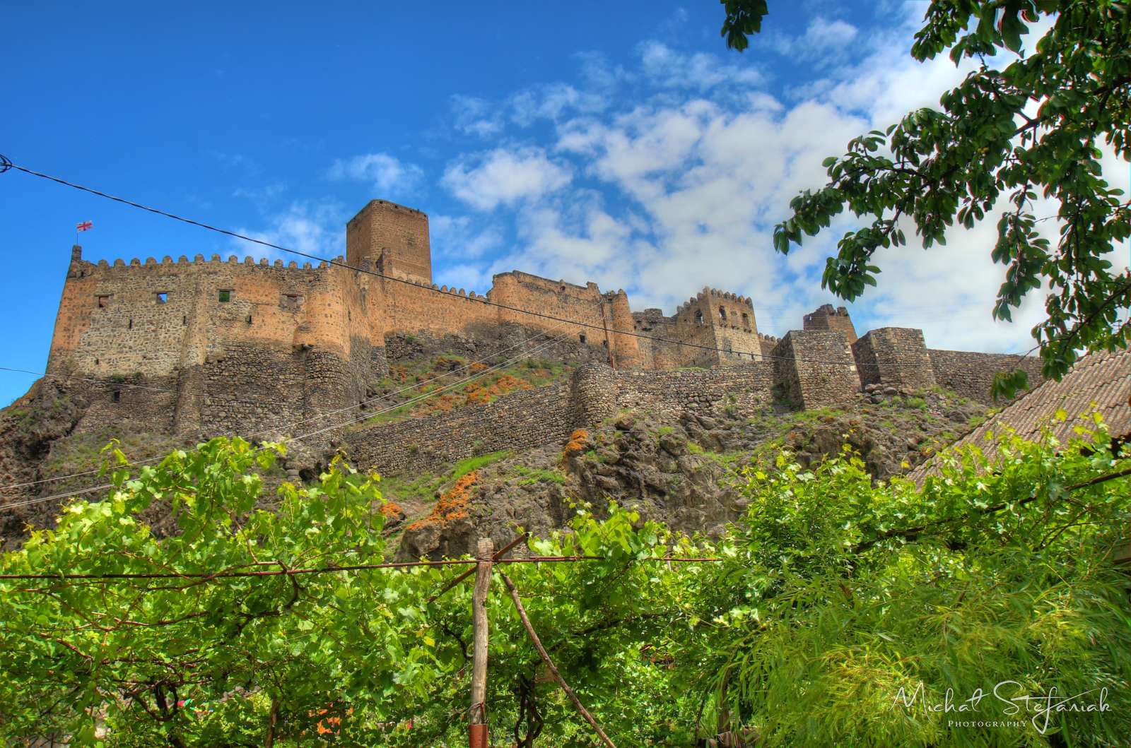 JMG 0979 80 81Enhancer