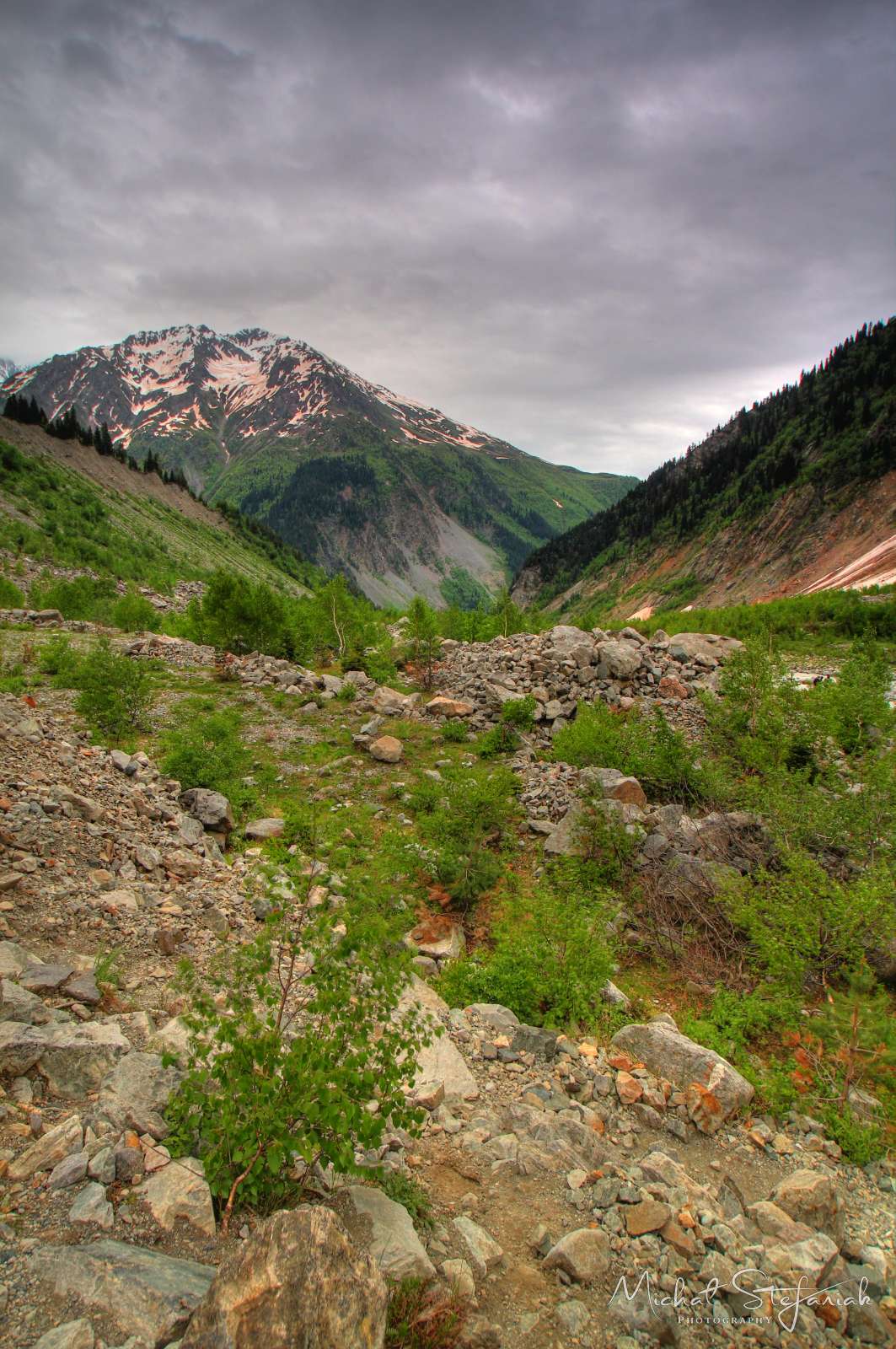 JMG 0117 8 9Enhancer