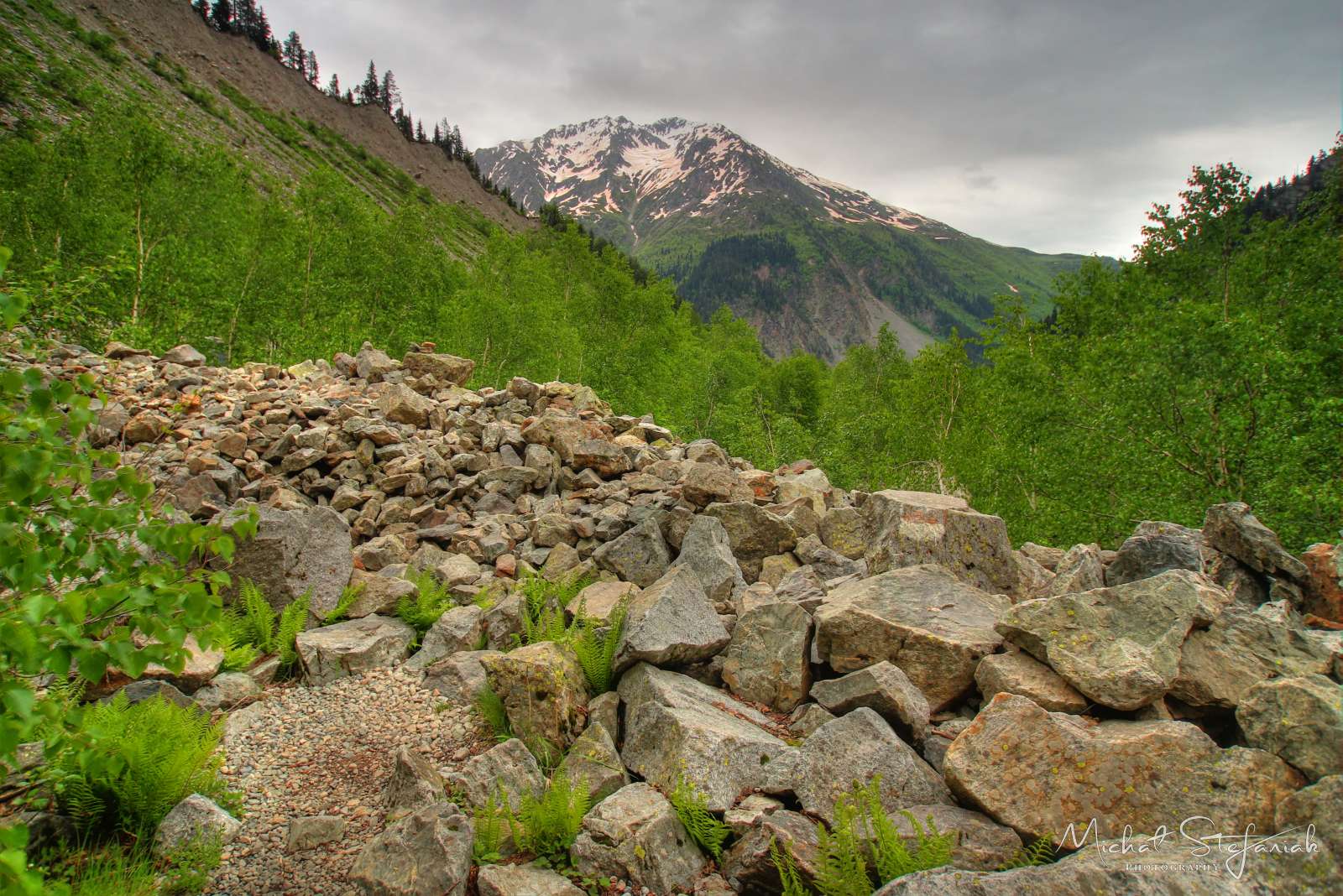 JMG 0145 6 7Enhancer