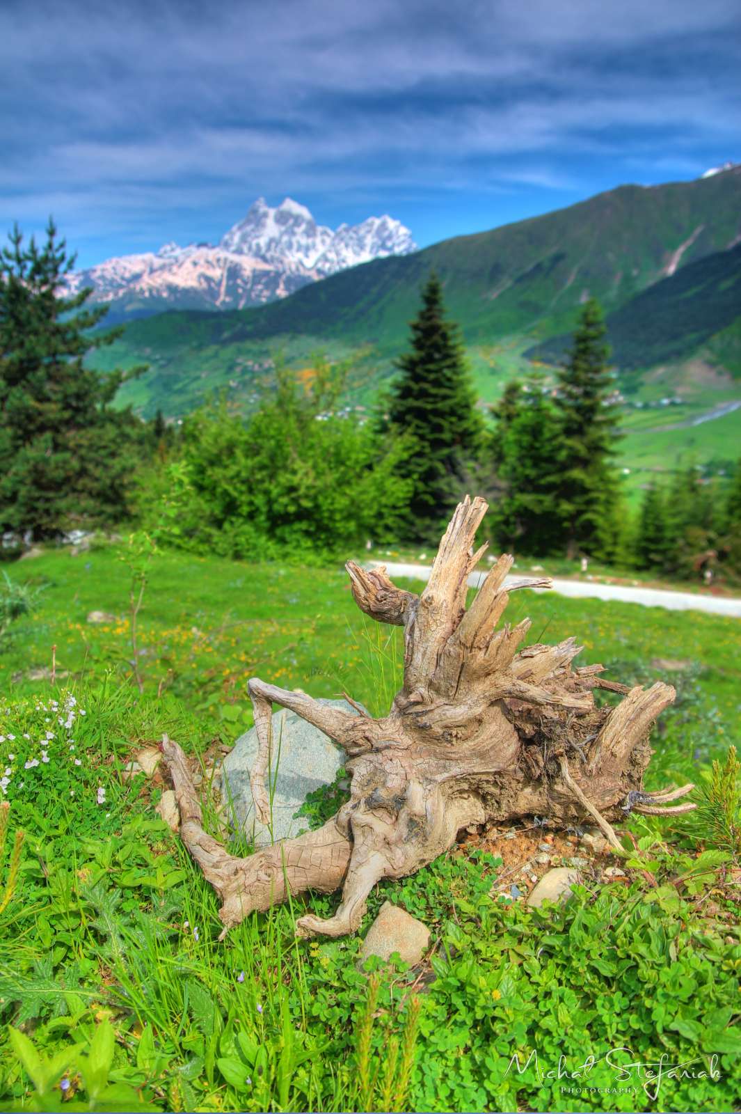 JMG 0466 7 8Enhancer