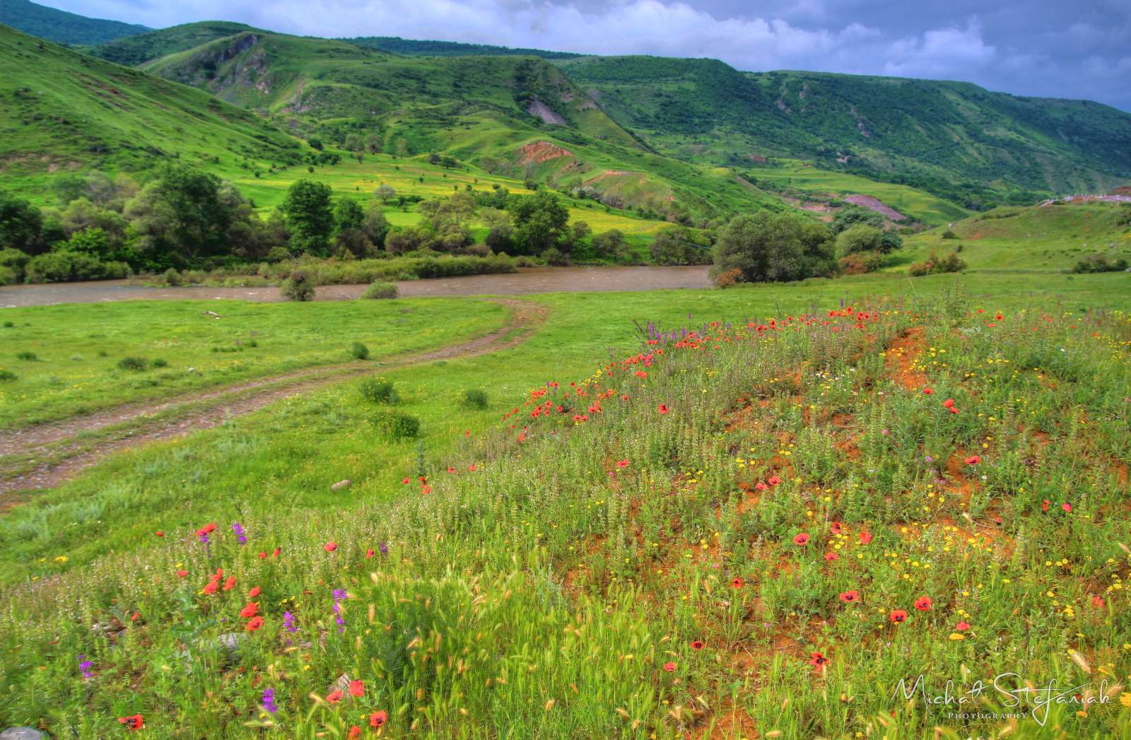 JMG 0822 3 4Enhancer