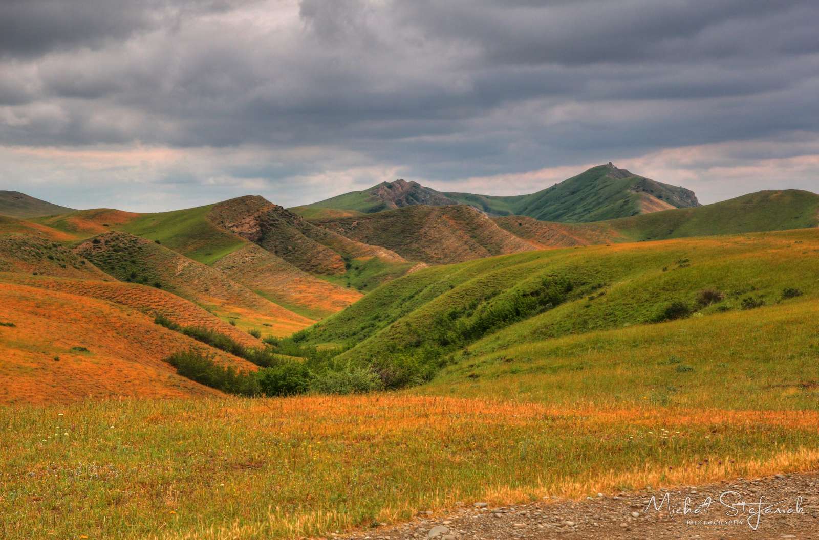 JMG 1190 1 2Enhancer