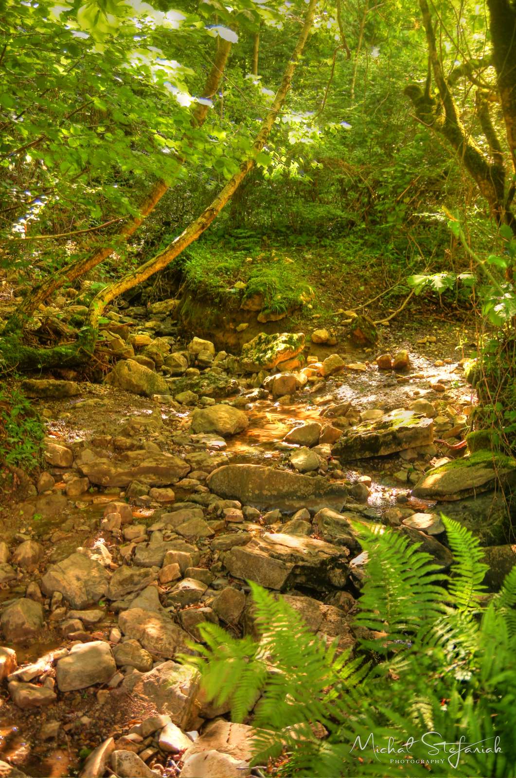 IMG 9876 7 8Enhancer