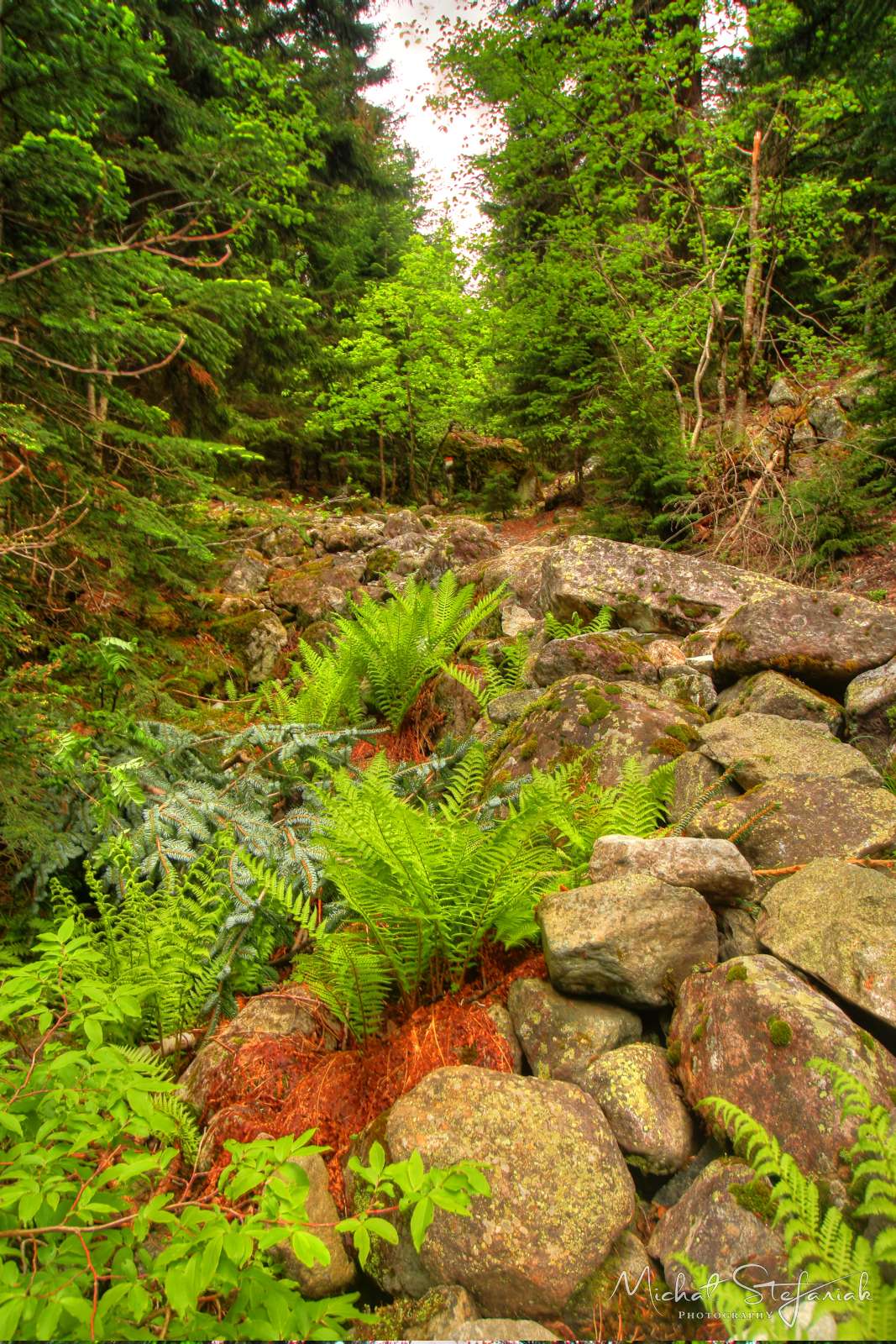 JMG 0077 8 9Enhancer