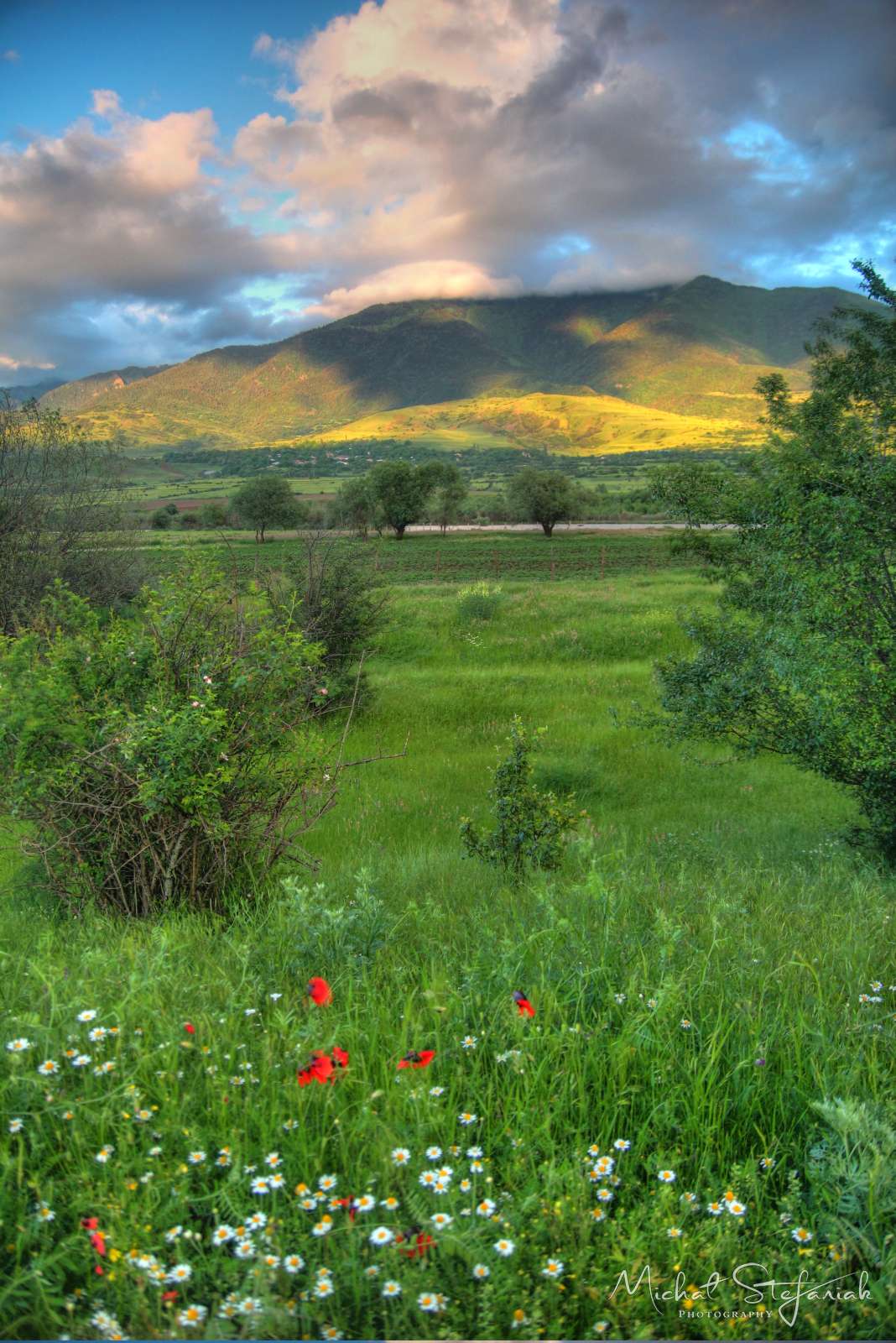 JMG 0805 6 7Enhancer